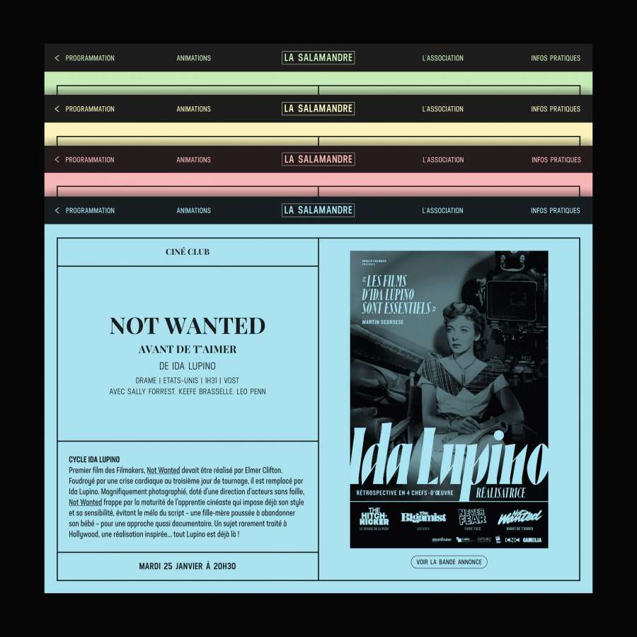 Cinéma La Salamandre