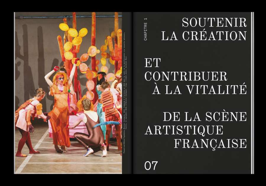 Cnap – Rapport d’activité